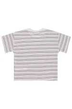 Boys' T-Shirt, Ages 2-5, Off-White - Pack
