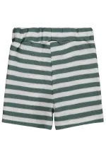 Short bébé 0-24 mois vert pin - Lot