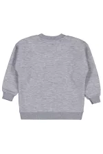 Kız Çocuk Sweatshirt 2-5 Yaş Grimelanj - Paket