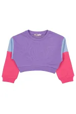 Kız Çocuk Sweatshirt 2-5 Yaş Mor - Paket