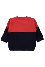 Sweat-shirt bébé 0-24 mois bleu marine - Lot