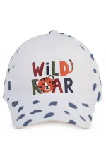 Boys' Hat/Beanie, Ages 2-5, Standard - Package