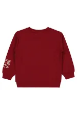 Girl Sweatshirt 2-5 Years Old Dark Burgundy - Package