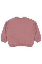 Sweat-shirt bébé 0-24 mois marron - Lot