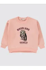 Kız Çocuk Sweatshirt 2-5 Yaş Pudra - Paket