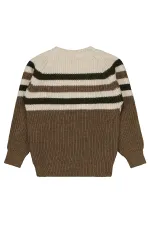Boys Sweater 6-9 Years Old Dark Brown - Package