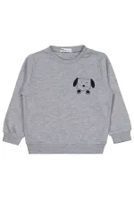 Boys Sweatshirt Km 2-5 Years Grimelanj - Package