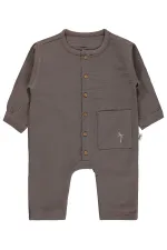 Bebek Tulum 0-24 Ay Acı Kahve - Paket