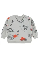 Boy Sweatshirt 2-5 Years Old Light Gray - Package