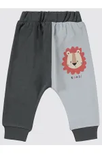 Bebek Tek Alt Bebe 0-24 Ay Füme - Paket