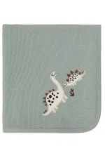 Bebek Battaniye ve Kundak 0-24 Ay Çağla Yeşili - Paket