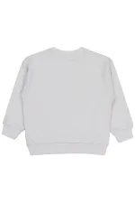 Erkek Çocuk Sweatshirt 10-13 Yaş Açık Gri - Paket