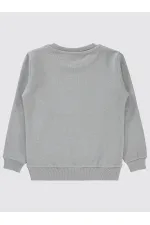 Boy Sweatshirt 6-9 Years Gray - Pack