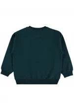 Sweat-shirt garçon 6-9 ans vert mousse foncé - Lot