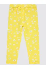 Collants pour filles de 2 à 5 ans, motif ananas - Paquet