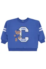 Erkek Çocuk Sweatshirt 2-5 Yaş Saks - Paket