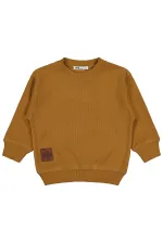Erkek Çocuk Sweatshirt 2-5 Yaş Kahve - Paket
