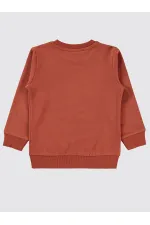 Sweat-shirt garçon 2-5 ans, couleur cuivre foncé - Lot