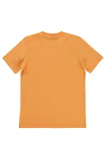 Erkek Çocuk Tişört 10-13 Yaş Turuncu - Paket