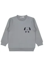 Boys Sweatshirt Km 2-5 Years Gray - Package
