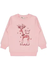 Kız Çocuk Sweatshirt 2-5 Yaş Pembe - Paket