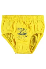 Erkek Çocuk Külot 2-9 Yaş Standart - Paket