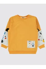 Boy Sweatshirt 2-5 Years Mustard - Pack