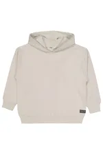 Sweat-shirt garçon 10-13 ans Gris clair - Emballage