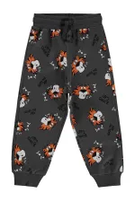 Pantalon de survêtement garçon, 2-5 ans, anthracite - Lot