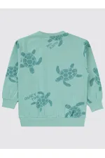 Erkek Çocuk Sweatshirt 2-5 Yaş Turkuaz - Paket