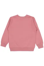 Kız Çocuk Sweatshirt 2-5 Yaş Gül Kurusu - Paket
