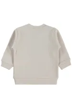 Baby Sweatshirt 0-24 Months Stone Color - Package