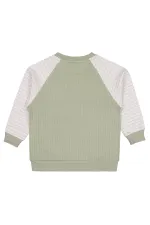 Erkek Çocuk Sweatshirt 2-5 Yaş Yeşil - Paket