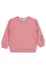 Girl's Sweatshirt 2-5 Years Old Dusty Rose - Package