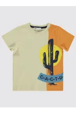 T-shirt garçon 2-5 ans couleur pierre - Lot