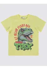 Erkek Çocuk Tişört 2-5 Yaş Açık Sarı - Paket