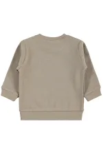 Bebek Sweatshirt 0-24 Ay Vizon - Paket Bebek Sweatshirt 0-24 Ay Vizon - Paket