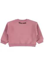 Kız Çocuk Sweatshirt 2-5 Yaş Gül Kurusu - Paket