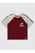 Erkek Çocuk Tişört 6-9 Yaş Bordo - Paket