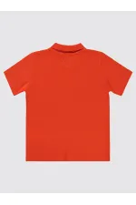 Erkek Çocuk Tişört 6-9 Yaş Nar - Paket