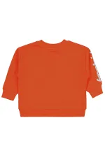 Erkek Çocuk Sweatshirt 2-5 Yaş Oranj - Paket