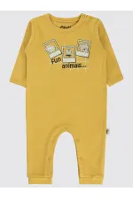 Bebek Tulum 0-24 Ay Hardal - Paket