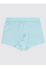 Erkek Çocuk Boxer 2-9 Yaş Mavi-Lacivert - Paket
