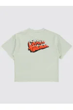 Erkek Çocuk Tişört 2-5 Yaş Açık Gri - Paket