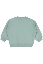 Bebek Sweatshirt 0-24 Ay Çağla Yeşili - Paket