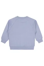 Boy Sweatshirt 2-5 Years Blue - Package