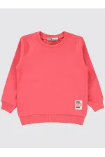 Kız Çocuk Sweatshirt 2-5 Yaş Günbatımı Mercanı - Paket