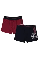 Erkek Çocuk Boxer 2-9 Yaş Standart - Paket