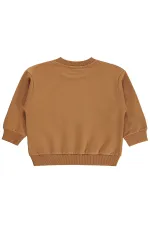 Erkek Çocuk Sweatshirt 2-5 Yaş Koyu Kahve - Paket