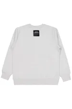 Erkek Çocuk Sweatshirt 10-13 Yaş Açık Gri - Paket